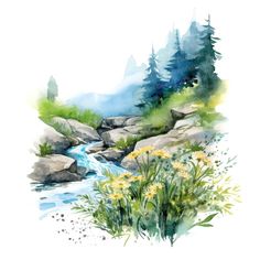 a watercolor painting of rocks and flowers near a stream with pine trees in the background