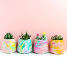 three pots with different types of plants in them on a pink background, one has a cactus and the other is a succulent