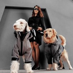 two dogs are standing next to a woman in black and grey clothes with sunglasses on