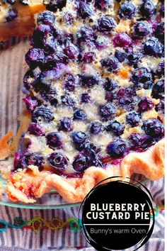 A top view of a Blueberry Custard Pie in a glass pie plate. Blueberry Pina Colada Pie, Blueberry Pie Filling Uses, Pie Blueberry Recipe, Blackberry Custard Pie Recipe, Custard Fruit Pie, Cold Blueberry Pie, Fresh Frozen Blueberry Recipes