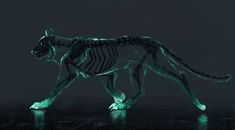 an animal that is lit up in the dark with green light on it's body