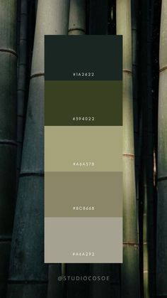 the color scheme for bamboo is green, brown and white with black accents on it