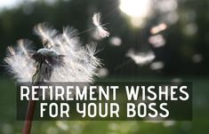 a dandelion with the words retirement wishes for your boss