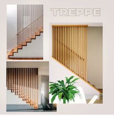 there are pictures of stairs and plants in the house with text overlay that reads treepe