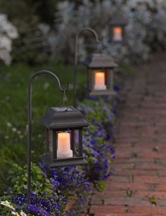 three lit lanterns sitting on top of a brick walkway next to purple flowers and greenery