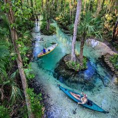 two people in canoes paddling down a river surrounded by palm trees and water