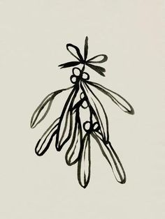 an ink drawing of a bunch of olives hanging from a branch with leaves and berries