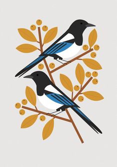 two birds sitting on top of a tree branch