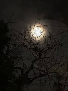 the moon shines brightly through the clouds in the night sky above some bare trees