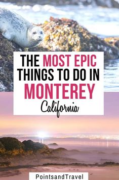 the most epic things to do in monterey california