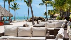 wicker couches and chairs on the beach with palm trees