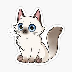 a white cat with blue eyes sitting on the ground looking at the camera sticker