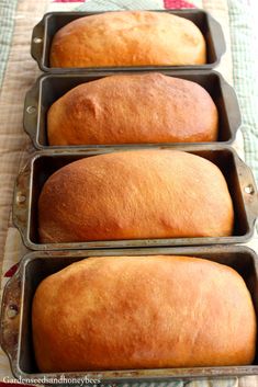 four loafs of bread sitting in pans on top of a table