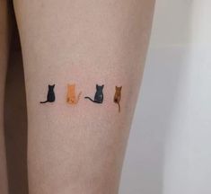 three cats sitting on top of each other's legs with one cat in the middle