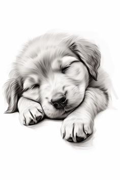 a black and white drawing of a puppy sleeping