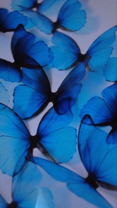 many blue butterflies are flying in the air