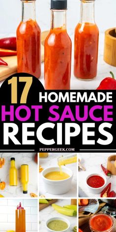 homemade hot sauce recipe collage with the words, 17 homemade hot sauce recipes on it