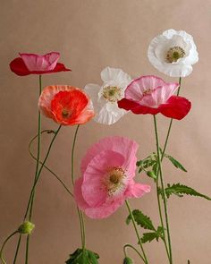 several different colored flowers in a vase with green stems and leaves on the bottom right side