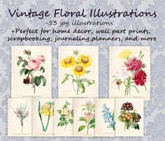 vintage floral illustrations for home decor, wall art prints, scrapbooking and more