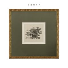 a framed photograph of a tree with the words troya on it's side