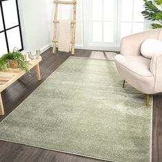 a living room with a chair, rug and potted plant on the side table