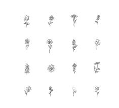 the flowers are drawn in black and white