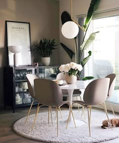 an instagram photo of a dining room table with chairs and a cat laying on the floor