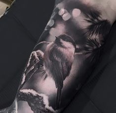 a man's arm with a bird on it and some lights in the background