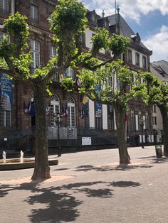 the building has many trees in front of it