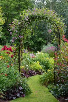 a garden filled with lots of different types of flowers