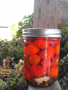 a mason jar filled with pickled tomatoes on top of a wooden post next to bushes