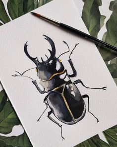 a drawing of a beetle on white paper with green leaves and a black pen next to it