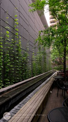 an outdoor seating area with tables, chairs and plants growing on the side of a building