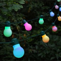 multi - colored lights are hanging on a string in front of some trees and bushes