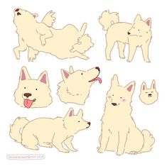 an image of dogs in different poses