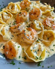 pasta with shrimp and cheese sauce on a white plate, garnished with parsley