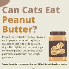 an advertisement for peanut butter with the caption can cats eat peanut butter?