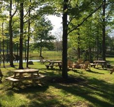 picnic tables and hammocks are set up in the shade of some trees near a pond