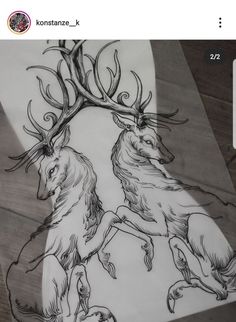 a drawing of two deers with antlers on their backs