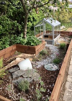 the garden is full of plants and rocks