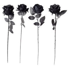 four black roses are shown in three different positions, each with leaves on the stems