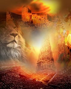 an image of a lion in the middle of a collage with other images around it