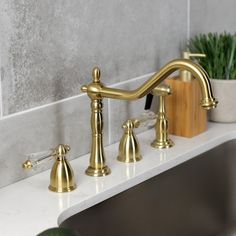 two faucets on a white counter top next to a potted green plant