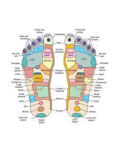 Punkty Spustowe, Foot Detox Soak, Autogenic Training, Reflexology Foot Chart, Foot Reflexology Massage, Reflexology Chart, Map Artwork, Reflexology Massage, Foot Reflexology