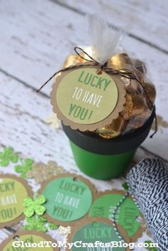 lucky to have you gift in a green cup on a white table with shamrocks