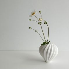 a white vase with some flowers in it