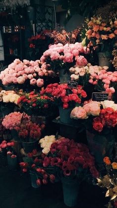 a bunch of flowers that are on display in a flower shop or florist shop