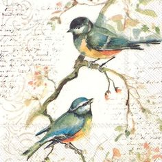 two birds sitting on top of a tree branch next to each other with writing in the background