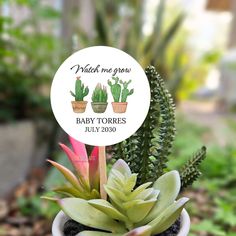 a potted plant with succulents and a sticker that says watch me grow