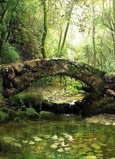 a stone bridge in the middle of a forest